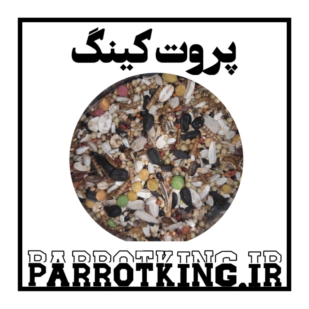دانه تقویتی طوطی سانان پروت کینگ
