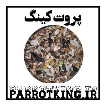 دانه تقویتی طوطی سانان پروت کینگ