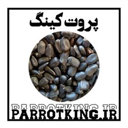 تخمه خام سیاه مخصوص پرندگان طوطی سانان