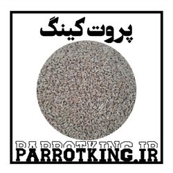 غذای پرندگان و طیور گندم درجه یک کبوتر و مرغ