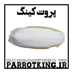 کف دریا کد  وزن 50 گرم