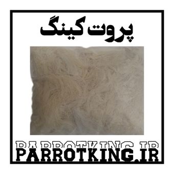 الباف لانه پرنده مدل قناری فنچ سهره