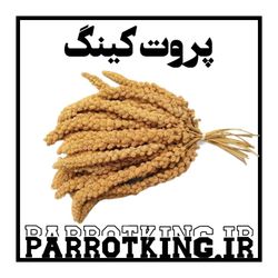 غذای پرنده مدل ارزن خوشه ای 50 گرم