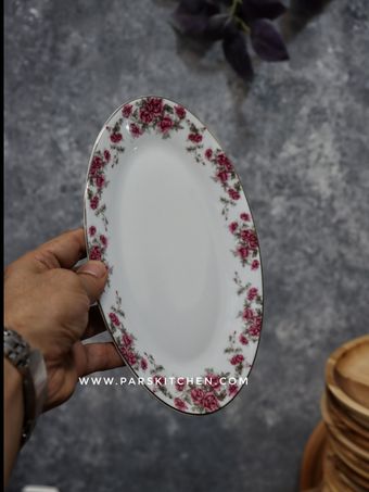 دیس بیضی 24سانت آران