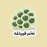 ابزار آموزشی چرخه زندگی قورباغه لمینت شده برش خورده مگنتی