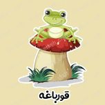 ابزار آموزشی چرخه زندگی قورباغه لمینت شده برش خورده مگنتی