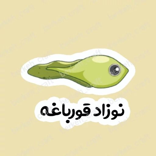 ابزار آموزشی چرخه زندگی قورباغه لمینت شده برش خورده مگنتی