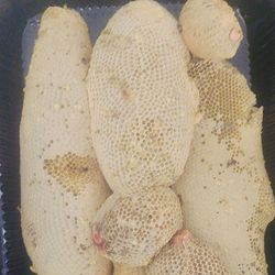 عسل وحشی رو شاخه ای (با شاخه و صد در صد طبیعی)