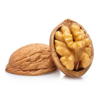 گردوی ممتاز "هنزا"