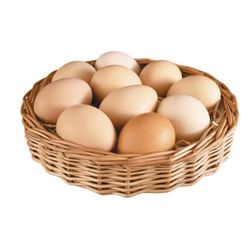 تخم مرغ محلی