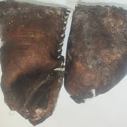 پنیر محلی پوستی گاو