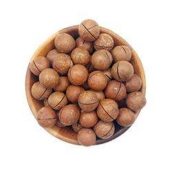 فندق