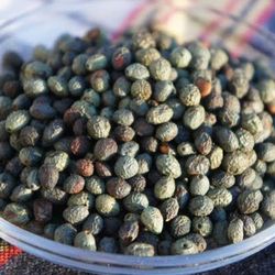 بنه (پسته کوهی)