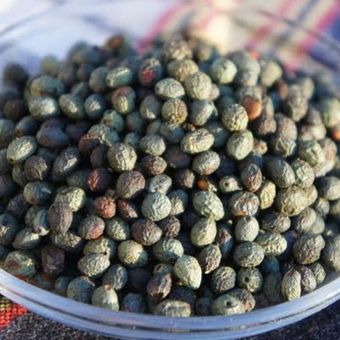 بنه  (پسته کوهی)