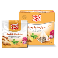 دمنوش هرمی مخلوط زنجبیل بسته 12 عددی