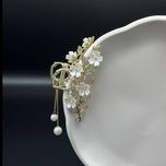 کلیپس مجلسی فلزی رنگ ثابت