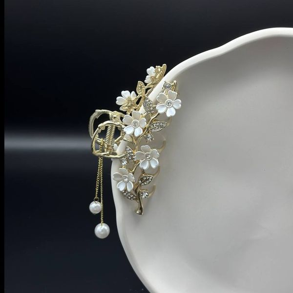 کلیپس مجلسی فلزی رنگ ثابت