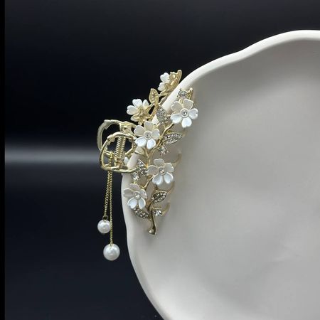 کلیپس مجلسی فلزی رنگ ثابت