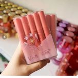 پک رژ لب مایع مخملی کره ای 5 عددی Von Gee