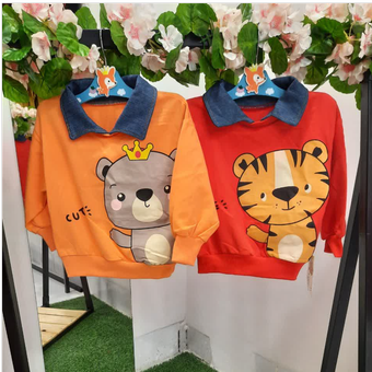 بلوز شلوار کوالا و ببر