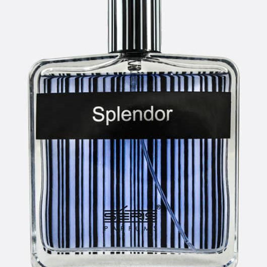 ادکلن اسپلندور آبی مردانه 100 میل | Splendor
