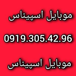 0919.305.42.96