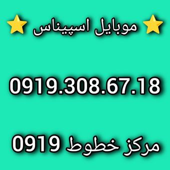 0919.308.67.18