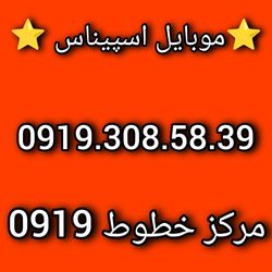 0919.308.58.39