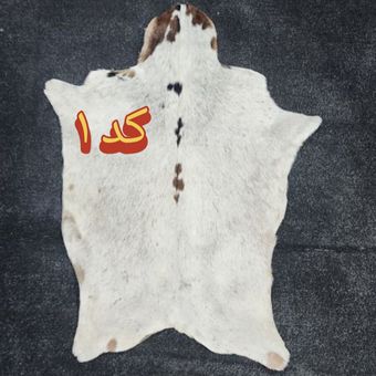 پوست بز دباغی شده  درجه یک