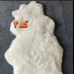 پوست گوسفندی درجه یک