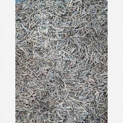 چای قلم ممتاز سیلان سیاره