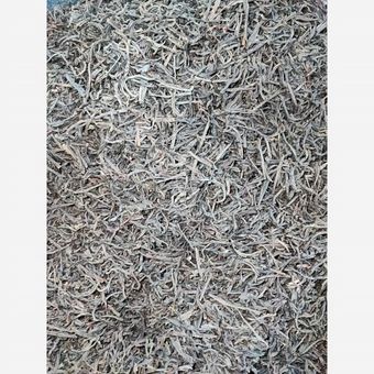 چای قلم ممتاز سیلان سیاره