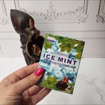 عود آبشاری رایحه آیس مینت برند داربوی دارشان