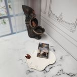 عود آبشاری رایحه دلار برند داربوی دارشان