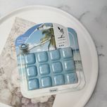 اسانس جامد رایحه اوشن برند لاکچری