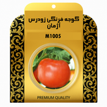 بذر گوجه فرنگی زودرس اروپایی آژمان 1005