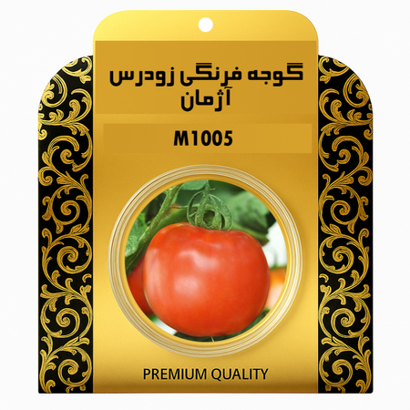 بذر گوجه فرنگی زودرس اروپایی آژمان 1005