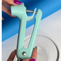 هسته گیر آلبالو دنی هوم