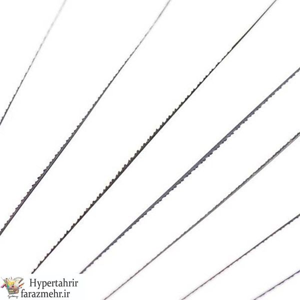 تیغ اره مویی Taifun سایز 02 بسته 12 عددی