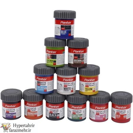 گواش پنتر  (Panter ) نانو ضد خش  در  بسته 6  و 12 تایی