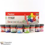 گواش پنتر  (Panter ) نانو ضد خش  در  بسته 6  و 12 تایی