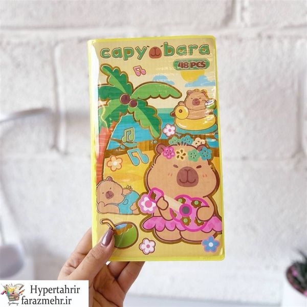 ست کادویی رنگ آمیزی 48 تکه BELE کد SS250202