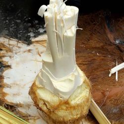 پنیر نخل غاپ مقوی و درمانی