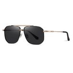 عینک آفتابی خلبانی آلبرت وگ مدل JS8538C02-P142 Polarized Avantgarde Visionary