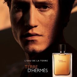 پرفیوم مردانه هرمس مدل Terre dHermes