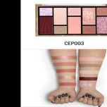 پالت سایه 10 رنگ CHARACTER