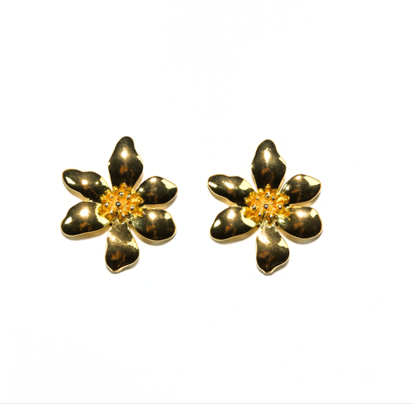 گوشواره شکوفه بهاری 17-60
