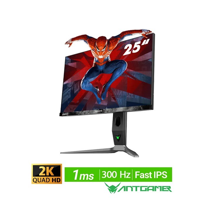 مانیتور گیمینگ انت گیمر ANTGAMER ANT253PQ سایز 25 اینچ