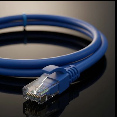 پچ کورد 1 متری لگراند وارداتی با تست فلوک utp6/cat