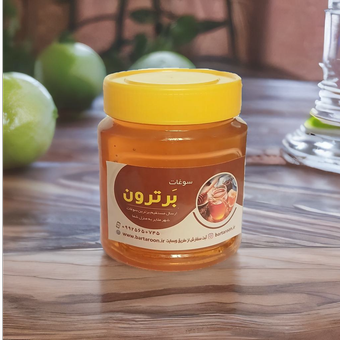 عسل ارگانیک کوهستان ملایر (شیرتیزه) (با وزن 500 گرم)